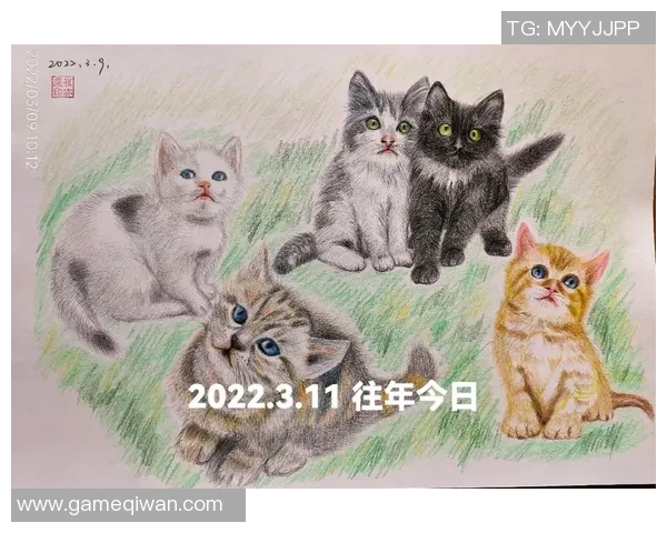 猫咪的优雅与灵动竟然与足球明星有着惊人的相似之处