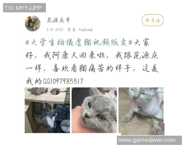 虐猫足球明星名字大全及其背后的故事与影响分析