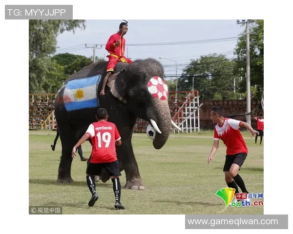 当今足球界的超级巨星们谁能称霸绿茵场引领未来潮流 当今足球界的超级巨星们谁能称霸绿茵场引领未来潮流